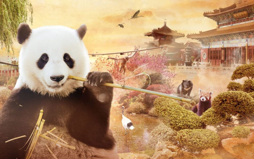 Journée à Pairi Daiza