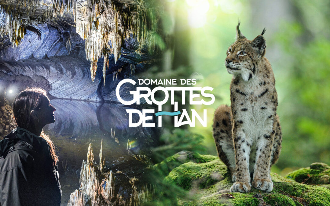 GROTTES DE HAN  & SAFARI-PARC