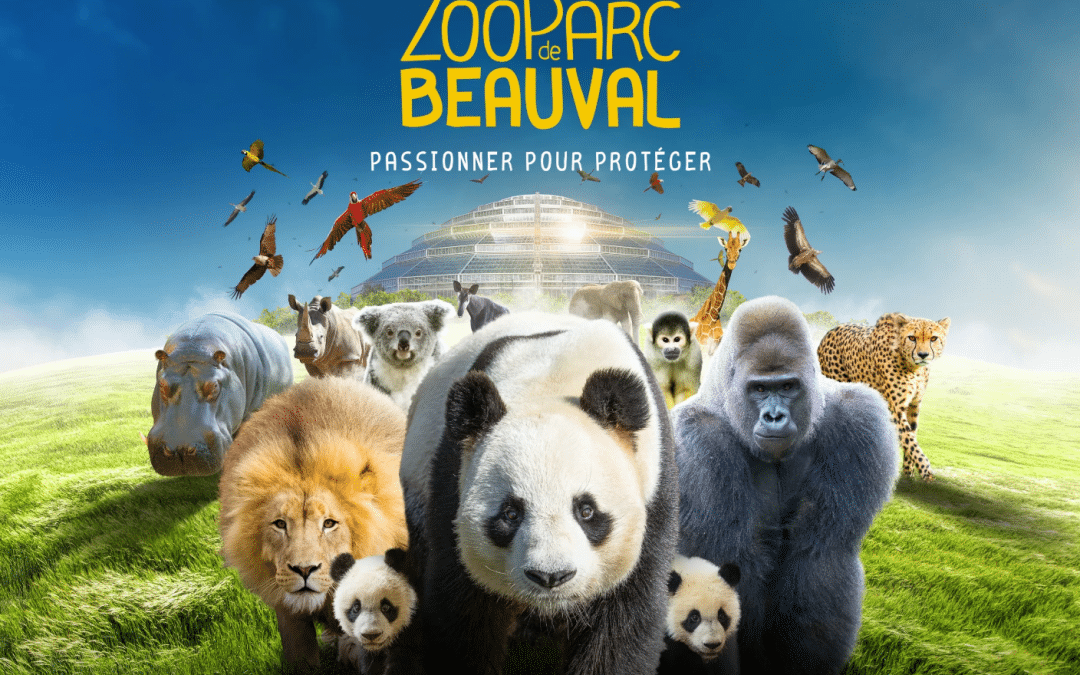 Week-End magique au ZOO-PARC DE BEAUVAL